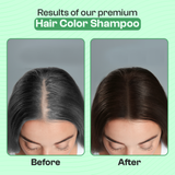 Kiwinz Hair Color Shampoo Sachet Packets For Men & Women